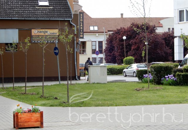 Virágos Berettyóújfalu 08